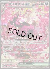 〔状態B〕キチキギスex【SAR】{244/193}