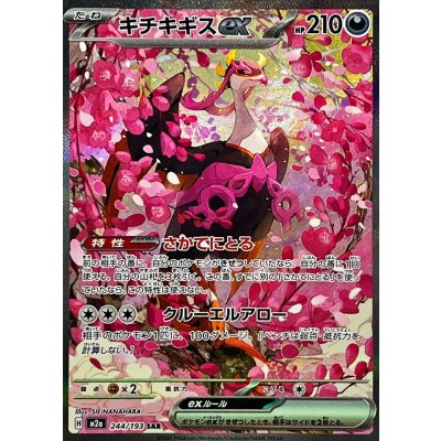 画像1: キチキギスex【SAR】{244/193}