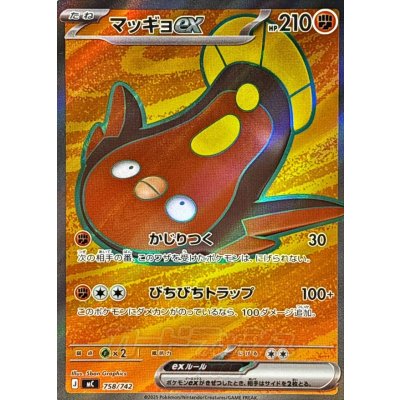 画像1: マッギョex(SR仕様)【-】{758/742}