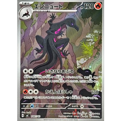 画像1: エンニュート(AR仕様)【-】{744/742}