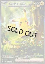 〔状態B〕ピカチュウex(SAR仕様)【-】{764/742}