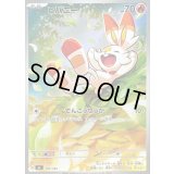 ヒバニー(AR仕様)【-】{745/742}