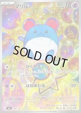 〔状態B〕マリル(AR仕様)【-】{748/742}