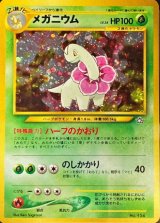 〔状態B〕メガニウム LV.54【-】{旧裏}