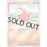 ホゲータ【P】{214/SV-P}