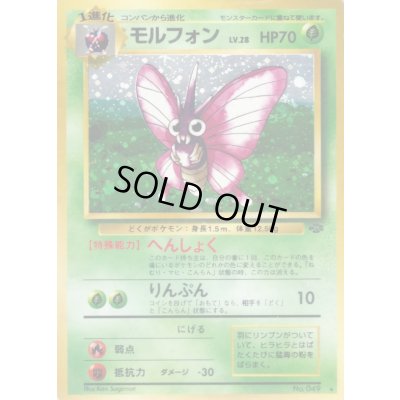 画像1: 〔状態C〕モルフォン LV.28【★】{旧裏}