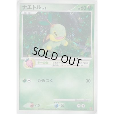 画像1: ナエトル【P】{001/PPP}
