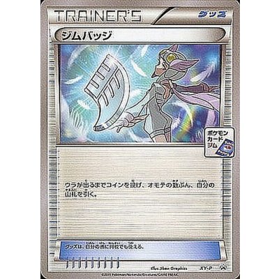 〔状態B〕ジムバッジ(ナギ)【P】{XY-P}