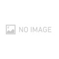 〔状態B〕からておうの稽古【P】{249/SV-P}