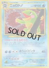 ニョロトノ LV.53【★】{旧裏}