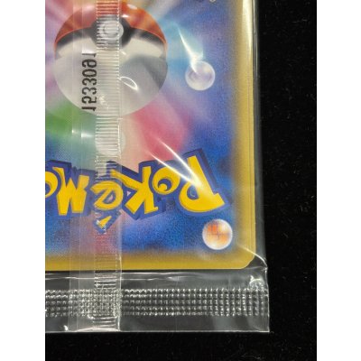 画像11: ポンチョを着たピカチュウ(未開封)【P】{207/XY-P}