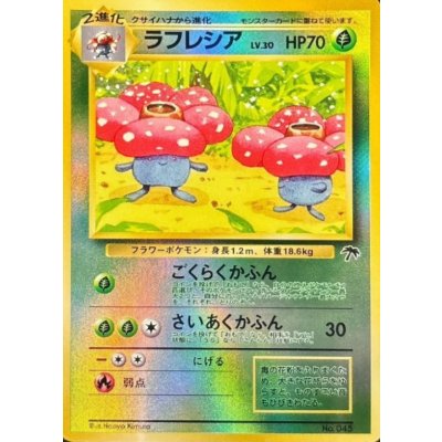 画像1: 〔状態C〕ラフレシア LV.30【-】{旧裏}