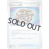 〔状態A-〕めずらしい化石【-】{165/190}