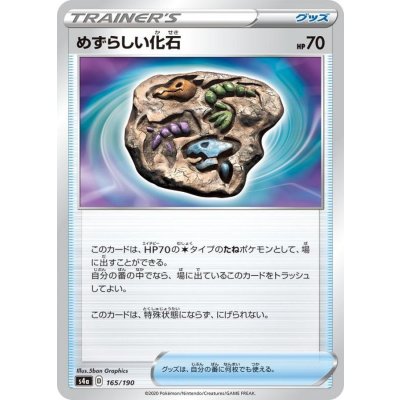 〔状態A-〕めずらしい化石【-】{165/190}