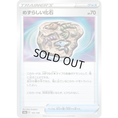 画像1: 〔状態A-〕めずらしい化石【-】{165/190}