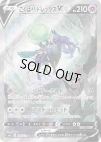 〔状態C〕こくばバドレックスV(SA)【SR】{076/070}