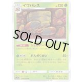 イワパレス【U】{003/054}