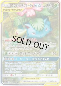 〔状態B〕フシギバナ＆ツタージャGX(SA)【SR】{066/064}