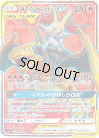 リザードン＆テールナーGX【SR】{067/064}