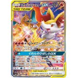 リザードン＆テールナーGX(SA)【SR】{068/064}