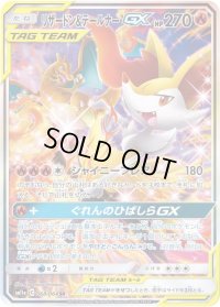 リザードン＆テールナーGX(SA)【SR】{068/064}