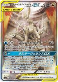 〔状態B〕アルセウス＆ディアルガ＆パルキアGX(SA)【SR】{100/095}