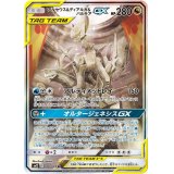 〔状態B〕アルセウス＆ディアルガ＆パルキアGX(SA)【SR】{100/095}