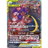 アーゴヨン＆アクジキングGX(SA)【SR】{102/095}