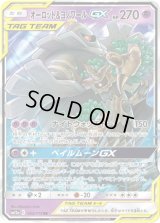 〔状態C〕オーロット＆ヨノワールGX【RR】{053/173}