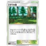 トキワの森【U】{091/095}