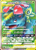 〔状態A-〕セレビィ＆フシギバナGX【SR】{096/095}