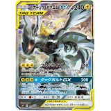 ピカチュウ＆ゼクロムGX(SA)【SR】{101/095}