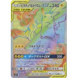 〔状態B〕ピカチュウ＆ゼクロムGX【HR】{112/095}