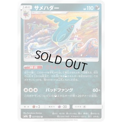 画像1: サメハダー【U】{027/055}