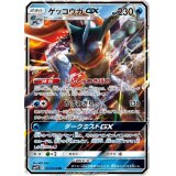〔状態B〕ゲッコウガGX【RR】{013/024}