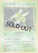 ストライク LV.25【★】{旧裏}