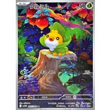 クルミル【AR】{087/086}