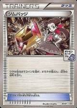 〔状態B〕ジムバッジ(ツツジ)【P】{XY-P}