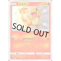 〔状態C〕ヒトカゲ【S】{166/150}