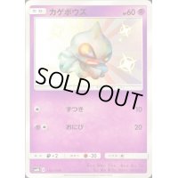 〔状態B〕カゲボウズ【S】{176/150}