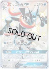 〔状態B〕ゲッコウガGX【SSR】{216/150}