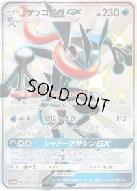 〔状態B〕ゲッコウガGX【SSR】{216/150}