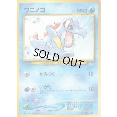 画像1: 〔状態D〕ワニノコ LV.13【-】{旧裏}