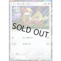 ヤングース【P】{004/SM-P}