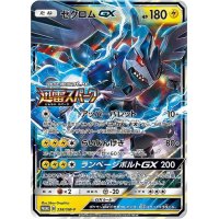 〔状態A-〕ゼクロムGX【P】{238/SM-P}