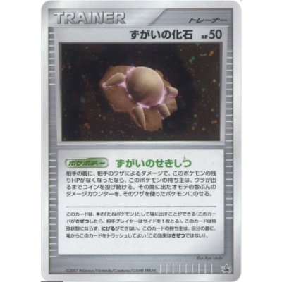 〔状態A-〕ずがいの化石(キラ)【P】{-}