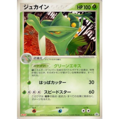 画像1: 〔状態C〕ジュカイン【P】{063/PCG-P}