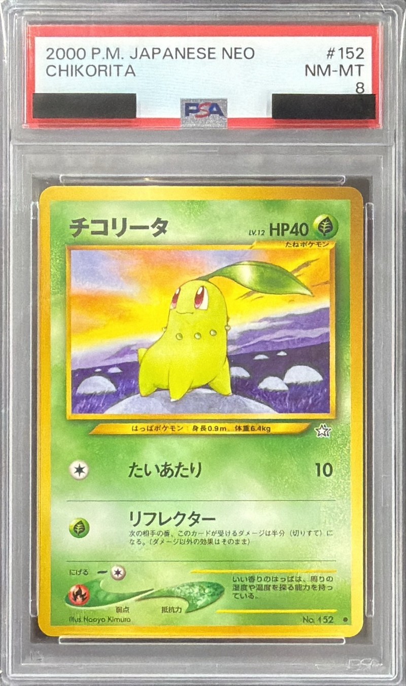 PSA8鑑定済〕チコリータLV.12【-】{旧裏}