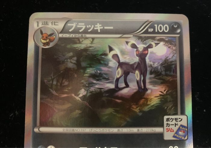 ブラッキー ブラッキーナイトバトル優勝プロモ P 140 Xy P