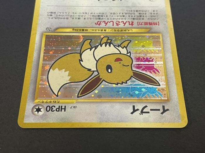 イーブイ ポケモンカードファンクラブ P 旧裏